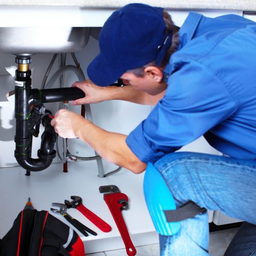 Professional-plumber.